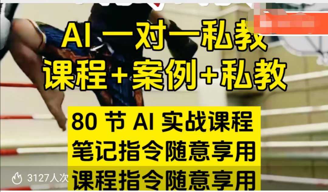 AI指令实战课，课程+案例，80节AI实战课程，笔记指令随意享用，课程指令随意享用(更新7月)-万三聊项目