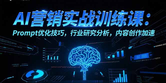AI营销实战训练课：Prompt优化技巧，行业研究分析，内容创作加速-万三聊项目