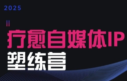2025治愈自媒体IP训练营，专为疗愈领域从业者打造-万三聊项目
