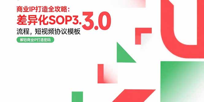商业IP打造全攻略：差异化SOP3.0流程，短视频协议模板，婚恋项目实战案例-万三聊项目
