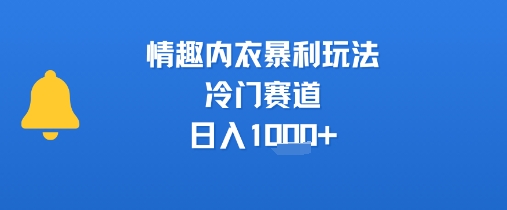 情趣内衣暴利玩法，冷门赛道，日入1k+-万三聊项目