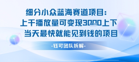 小众蓝海赛道项目：当天变现1k+适合新手操作 +适合长期玩-万三聊项目