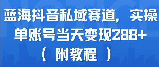 蓝海抖音私域赛道，实操单账号当天变现288+(附教程)-万三聊项目