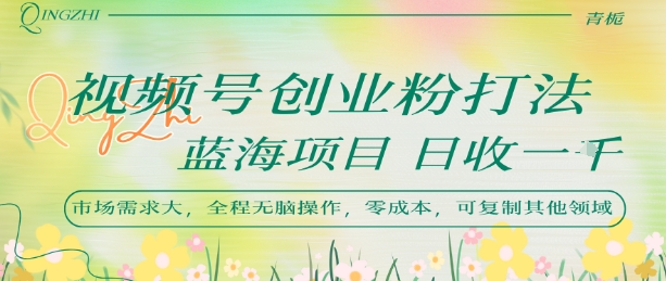 视频号创业粉打法，日入1k，蓝海项目，市场需求大，全程无脑操作，可复制-万三聊项目