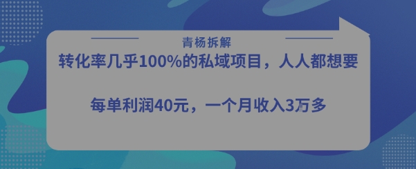 转化率最高的私域项目，每单利润40-50米，月入过1w-万三聊项目