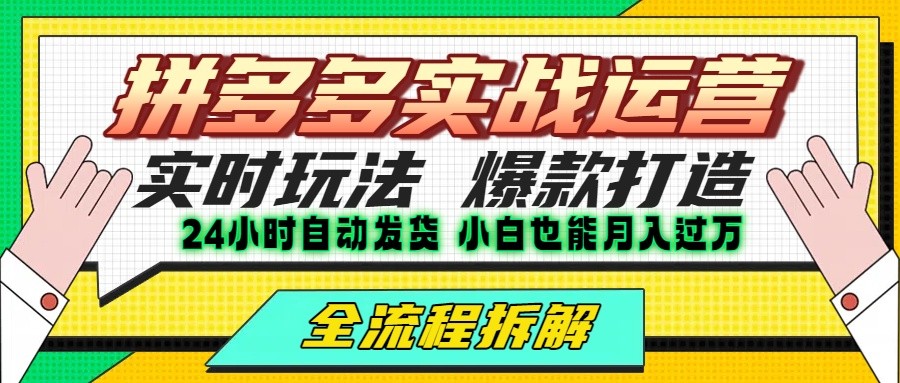 拼多多最新实战运营高投产：长久稳定项目，单店利润一天三位数-万三聊项目