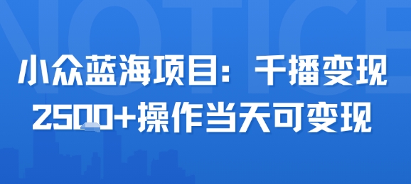 小众蓝海项目，千播变现2.5k+操作当天可变现-万三聊项目