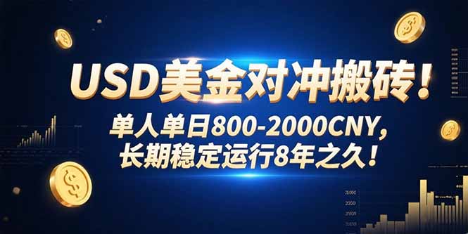 USD美金对冲搬砖!单人单日800-2000CNY，长期稳定运行8年之久!-万三聊项目