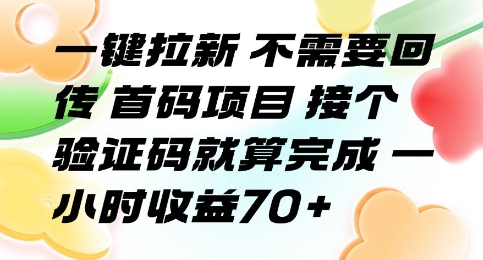 一键拉新 不需要回传 首码项目 接个验证码就算完成 一小时收益70+【揭秘】-万三聊项目