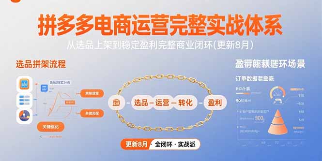 拼多多电商运营完整实战体系，从选品上架到稳定盈利完整商业闭环(更新8月-万三聊项目