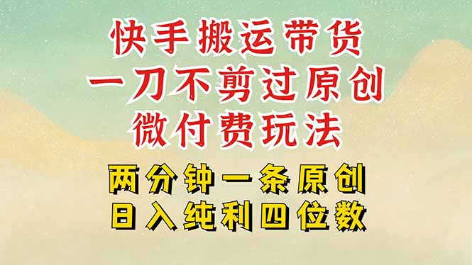 快手黑科技搬运带货，一刀不剪过原创，微付费投流玩法，轻松日入四位数…-万三聊项目