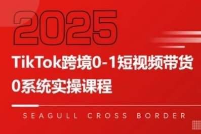 TikTok跨境0-1短视频带货，系统拆解TikTok跨境带货全链路，实现跨境可持续盈利-万三聊项目