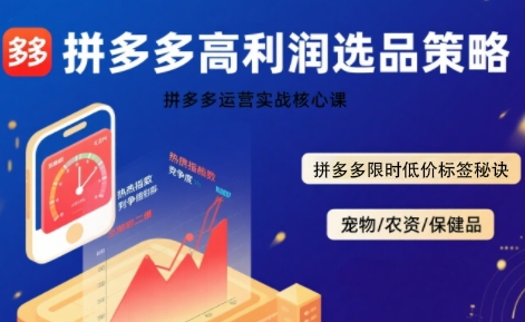 拼多多选品暴利技术实战课，拼多多高利润选品策略，拼多多限时低价标签秘诀-万三聊项目