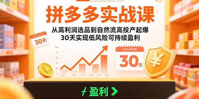 拼多多实战课：从高利润选品到自然流高投产起爆 30天实现低风险可持续盈利-万三聊项目