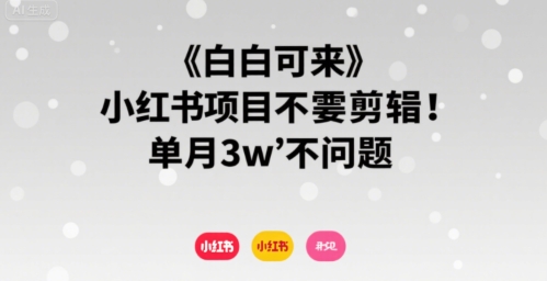 小白可来 小红书项目不需要剪辑 单月3w不是问题-万三聊项目
