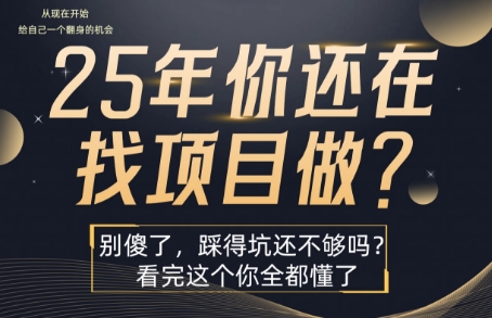 25年，你还在疯狂的找项目吗？别傻了，看完这个你都懂了【揭秘】-万三聊项目
