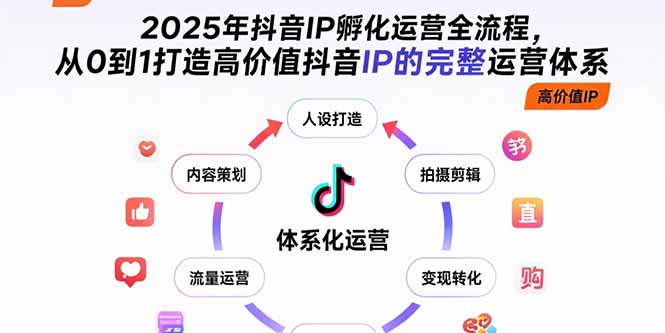 2025年抖音IP孵化运营全流程，从0到1打造高价值抖音IP的完整运营体系-万三聊项目