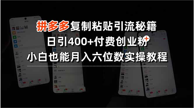 拼多多复制粘贴引流秘籍，日引400+付费创业粉，小白也能月入六位数实操…-万三聊项目