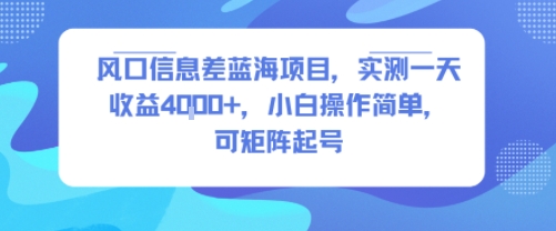 风口信息差蓝海项目，实测一天收益4k+，小白操作简单，可矩阵起号-万三聊项目