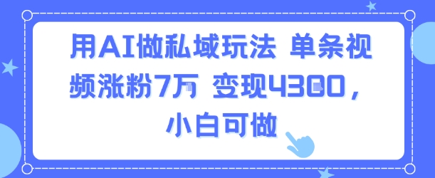 用AI做私域玩法，单条视频涨粉7W变现4.3k，小白可做-万三聊项目