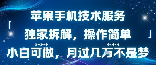 苹果手机技术服务，独家拆解，操作简单，小白可做，月过1W不是梦-万三聊项目