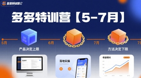 多多特训营【5-7月】产品决定上限，方法决定下限，各种玩法技巧落地实操-万三聊项目