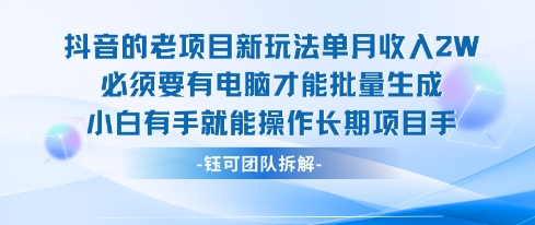 老项目新玩法单月收入2W小白有手就能操作长期项目-万三聊项目