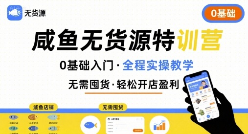 无货源特训营，0基础带你玩转咸鱼无货源-万三聊项目
