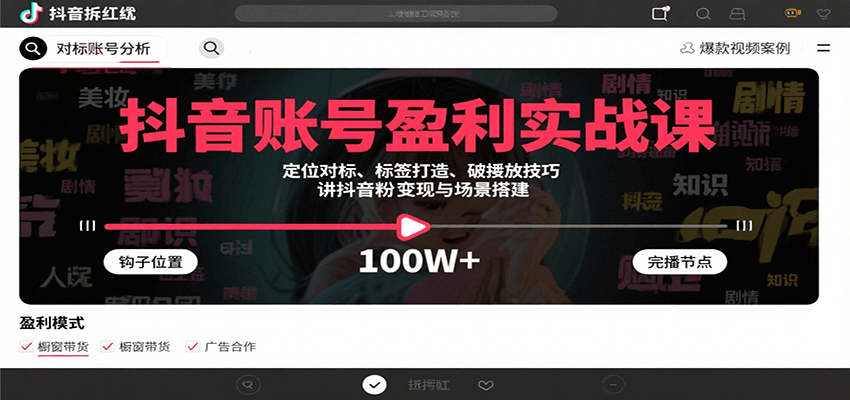 抖音账号盈利实战课，定位对标、标签打造、破播放技巧，讲涨粉变现与场景搭建-万三聊项目