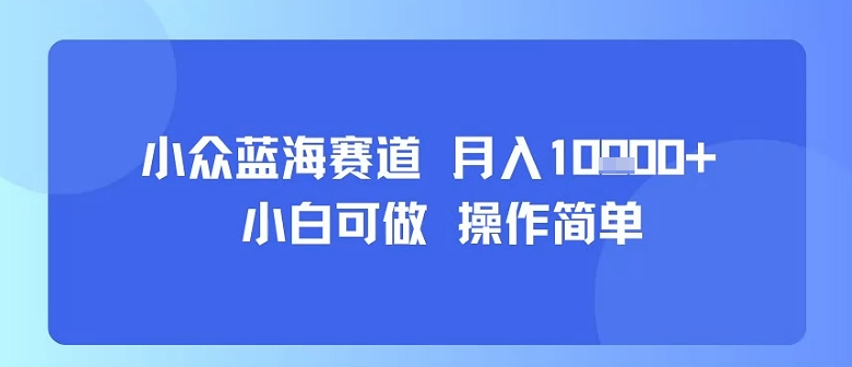 小众蓝海赛道，小白可做，操作简单，每天30分钟，月入1W+-万三聊项目