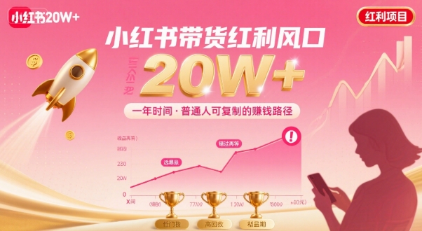 一年时间靠小红书带货项目年入20w+，最不能错的大红利项目-万三聊项目