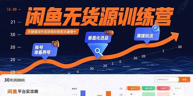 闲鱼无货源训练营：账号准备养号/垂直化选品/黑搜玩法，0基础30天盈利指南-万三聊项目