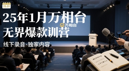 25年1月万相台无界爆款特训营线下录音-万三聊项目