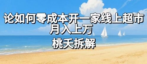 论如何零成本开一家线上超市，月入上W-万三聊项目
