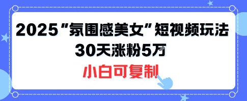 不露脸也能火！2025“氛围感美女”短视频玩法，30天涨粉5W小白可复制-万三聊项目