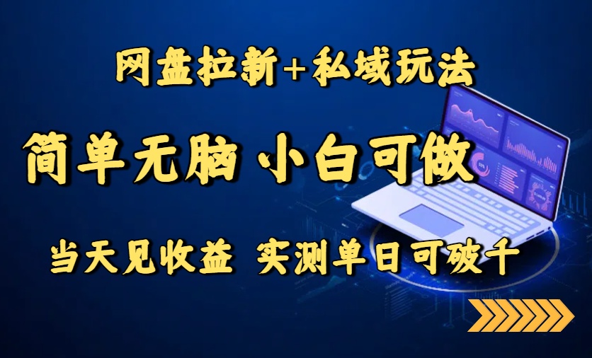 网盘拉新+私域玩法，简单无脑，小白可做，当天见收益，实测单日可破千-万三聊项目