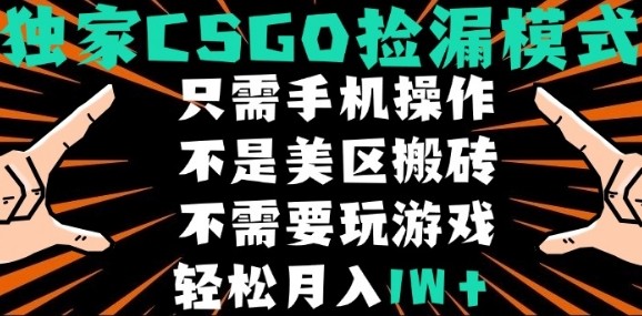 CSGO自动捡漏项目，最新独家玩法，不是美区搬砖，不需要了解和玩游戏，新手小白轻松月入1W+【揭秘】-万三聊项目