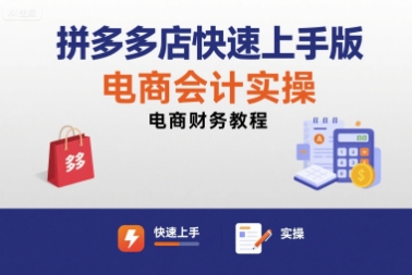 拼多多店快速上手版电商会计实操-电商财务教程-万三聊项目
