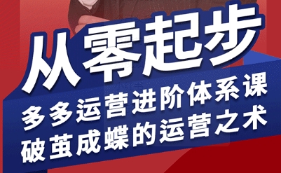 拼多多运营进阶系统课，从零起步，多多运营进阶体系课，破茧成蝶的运营之术-万三聊项目