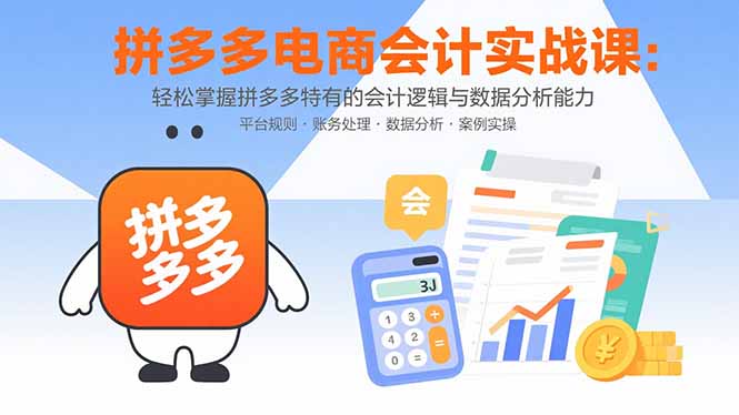 拼多多电商会计实战课：轻松掌握拼多多特有的会计逻辑与数据分析能力-万三聊项目
