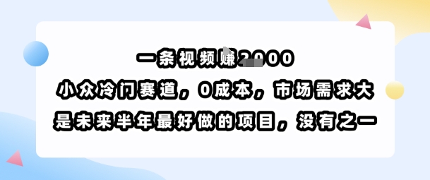 一条视频挣1k，小众冷门赛道，0成本，市场需求大，是未来半年最好做的项目，没有之一-万三聊项目