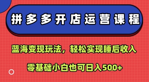 拼多多开店运营课程：蓝海变现玩法，轻松实现睡后收入，零基础小白也可日入5张-万三聊项目