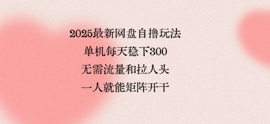 2025最新网盘自撸玩法，单机每天稳下3张，无需流量和拉人头，一个人就可轻松矩阵，全网独一份【揭秘】-万三聊项目