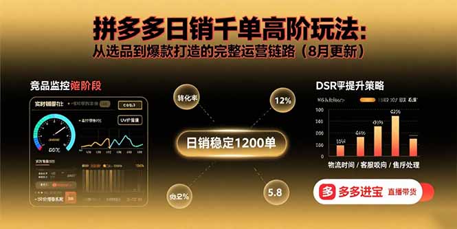 拼多多日销千单高阶玩法：从选品到爆款打造的完整运营链路(8月更新-万三聊项目